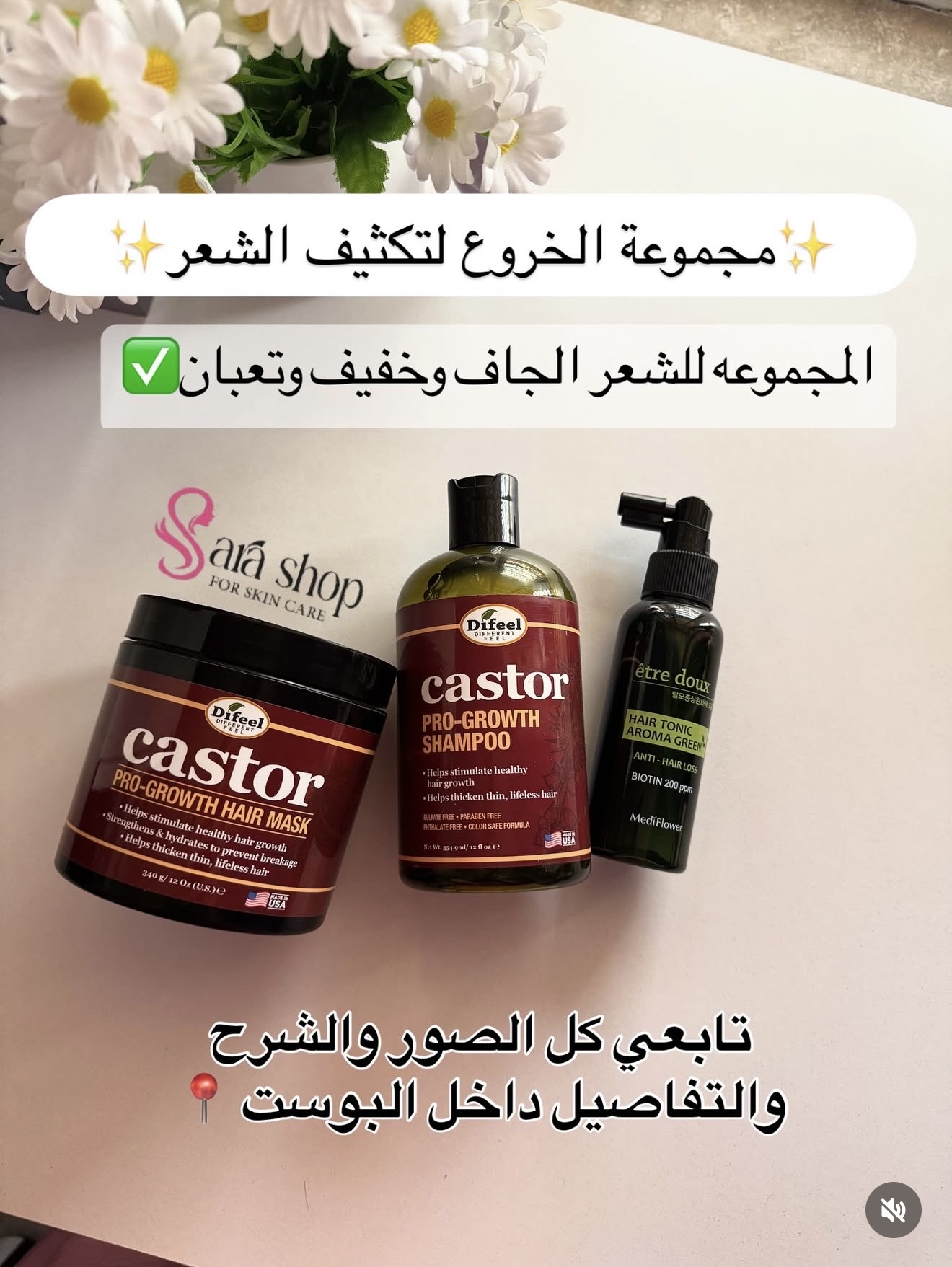 بكج الخروع الامريكي للشعر الجاف والخفيف