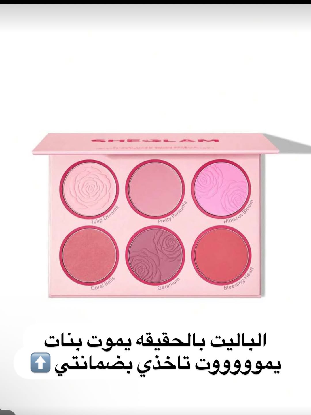 باليت شيكلام